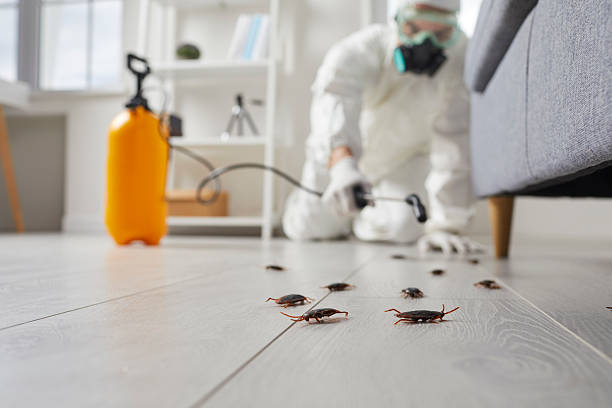 Commercial Kitchen Cockroach Control in Edmonston